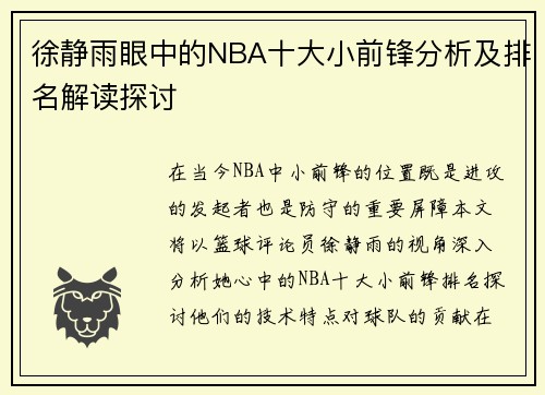 徐静雨眼中的NBA十大小前锋分析及排名解读探讨